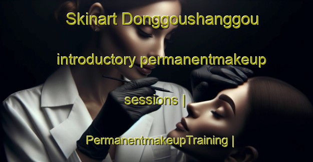 Skinart Donggoushanggou introductory permanentmakeup sessions | PermanentmakeupTraining | PermanentmakeupClasses | SkinartTraining-China